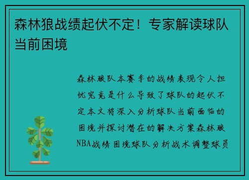 森林狼战绩起伏不定！专家解读球队当前困境